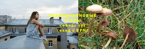 ГАЛЛЮЦИНОГЕННЫЕ ГРИБЫ Алексеевка